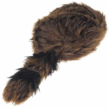 Raccoon Tail
