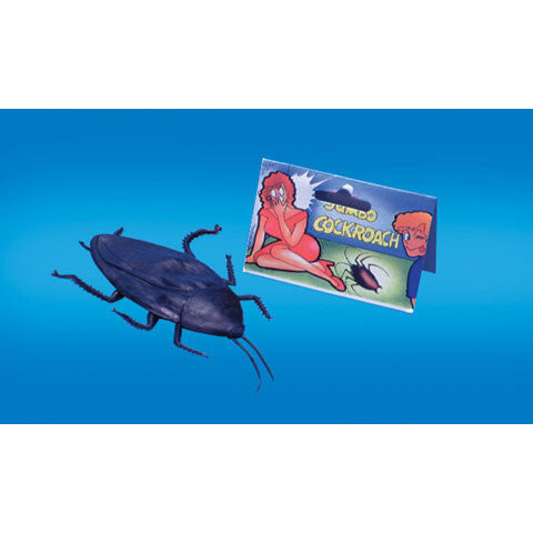 Jumbo Cockroach