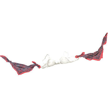 Baffling Bra Trick