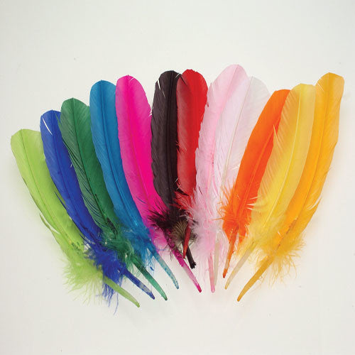 Assorterd Turkey Feathers