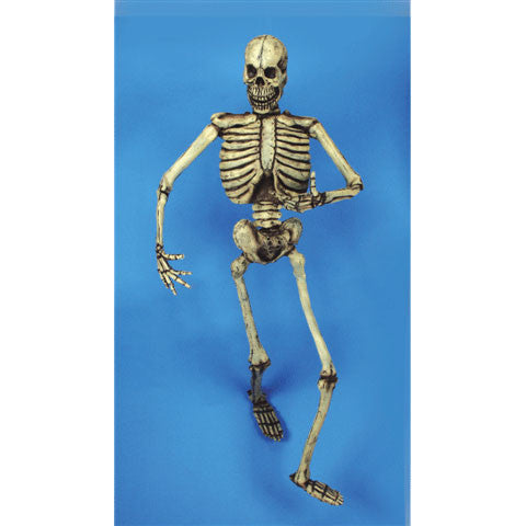 Skeleton- 6 Feet Tall (Bendable!)