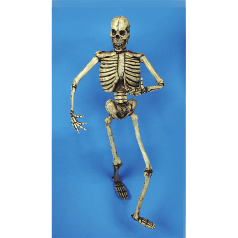 Skeleton- 6 Feet Tall (Bendable!)