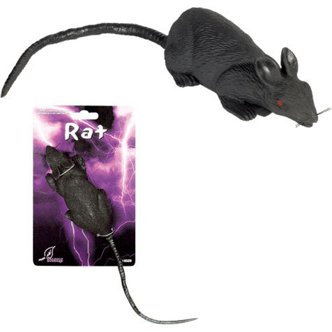 Rat