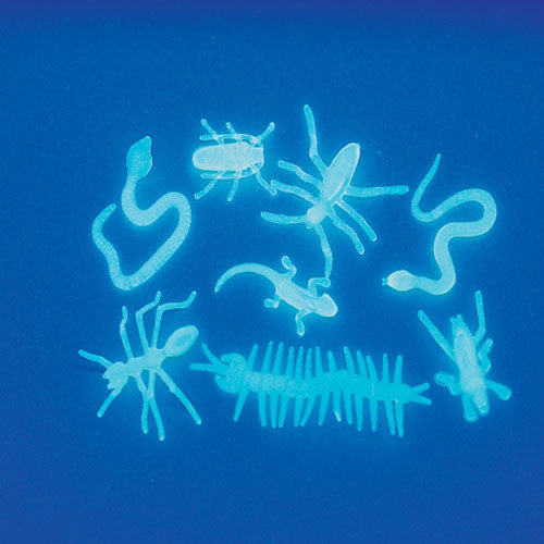 Glow Creatures